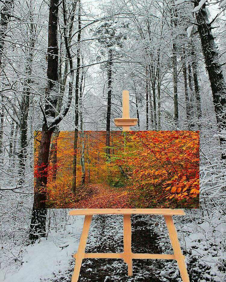 نقاشی پاییزی در زمستان